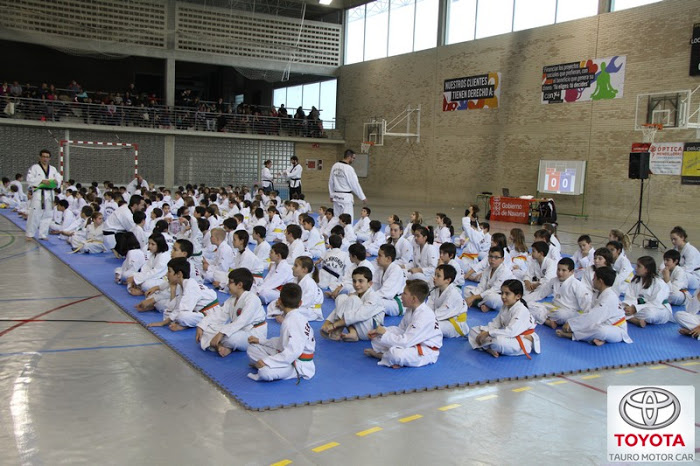 FOTOGRAF&Iacute;AS FESTIVAL SOLIDARIO INFANTIL 2015